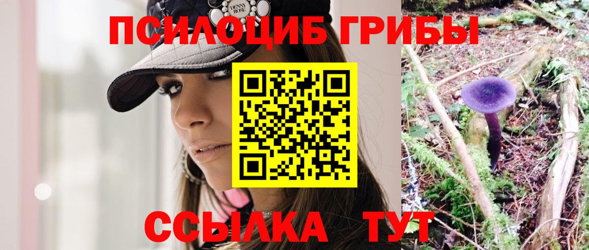 Галлюциногенные грибы Cubensis Южно-Сахалинск