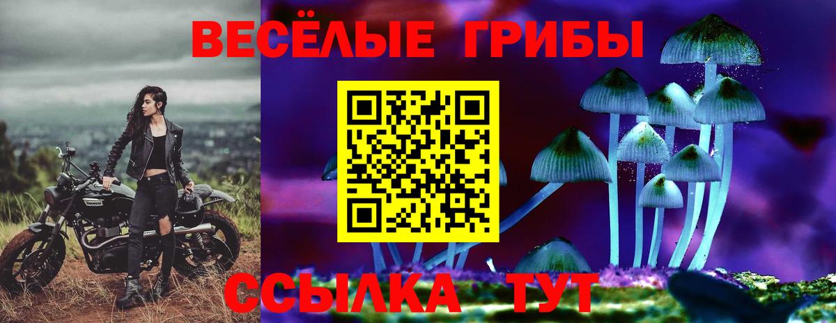 Южно-Сахалинск  Псилоцибиновые грибы Psilocybe  Вход с VPN 